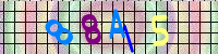 Blue Captcha Image