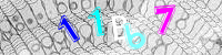 Blue Captcha Image