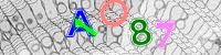 Blue Captcha Image